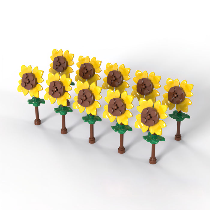 Sunslit Sunflowers x10