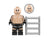 American Entertainment Wrestler 