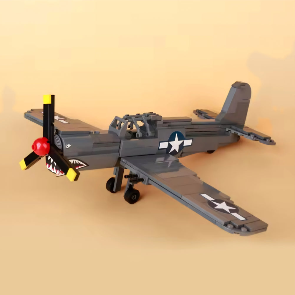 WW2 USAF P-40 Curtis Warhawk Fighter Plane